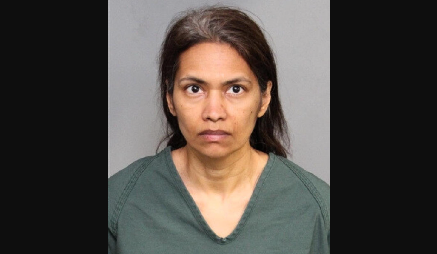 Saritha Ramaraju, 48, has been booked into the Santa Ana Jail on charges of murder, child endangerment, torture, and aggravated mayhem