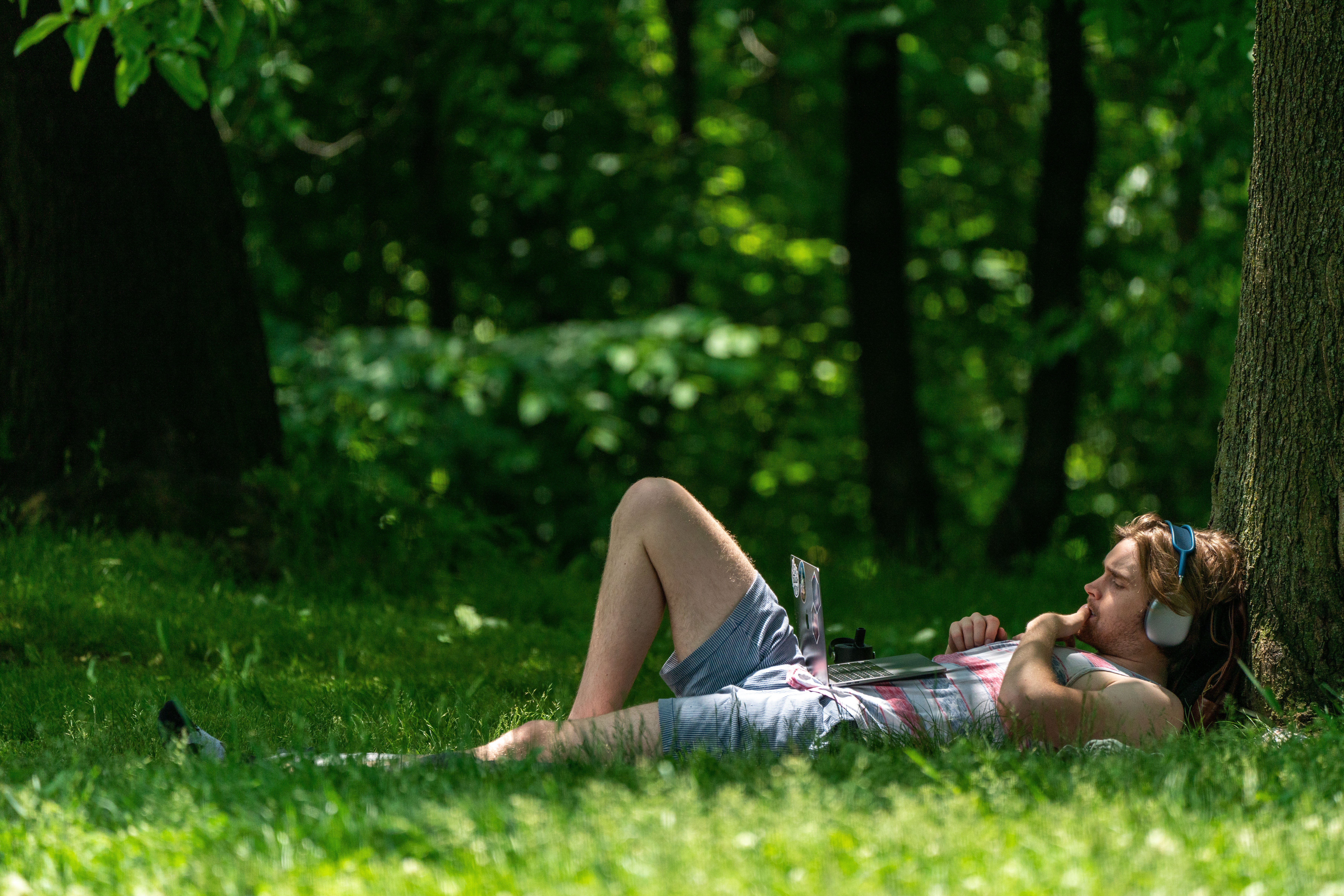 Parks are great. But, an analysis of 78 studies found urban forests were the best green spaces for reducing the prevalence of depression and anxiety