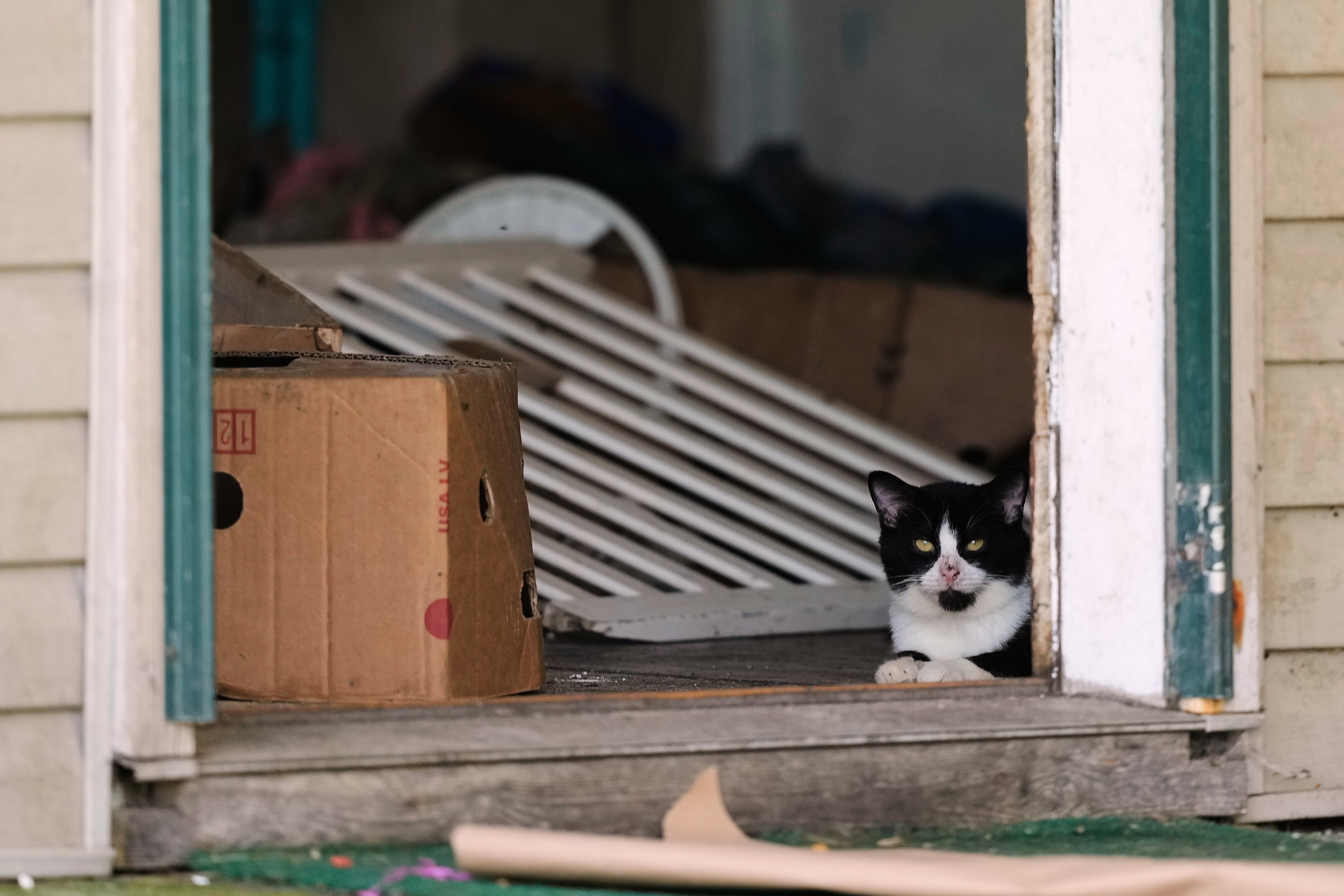 The house in the tiny rural village of Hamden was found to be overrun with trash