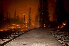 More than 200 people airlifted after being trapped at campground by California wildfire