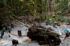 How coronavirus is fuelling an illegal gold rush in the Amazon