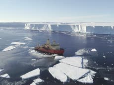 ‘Doomsday glacier’ in Antarctica melting due to warm water channels under surface, scientists discover