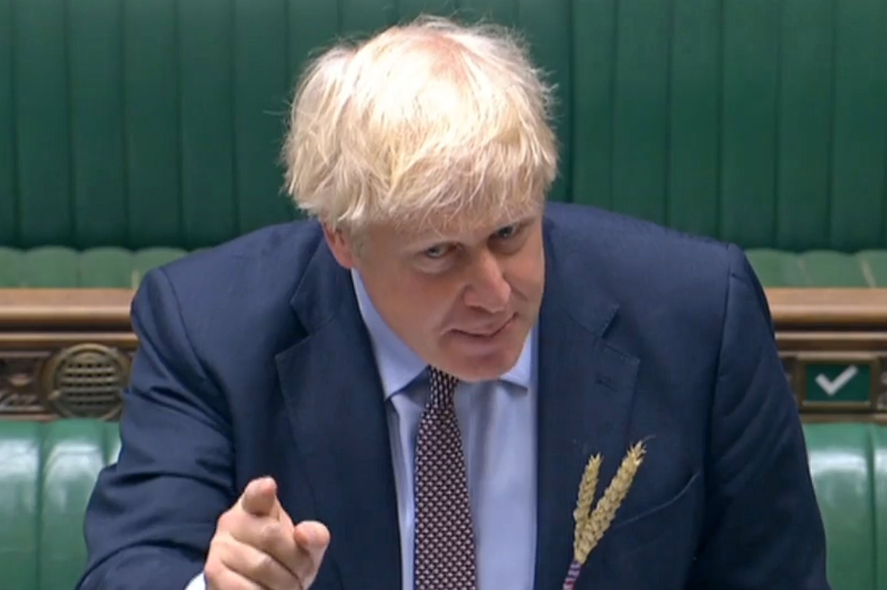 Why is Boris Johnson wearing a wheat sheaf on his lapel?