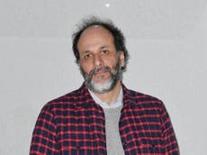 Luca Guadagnino: ‘I don’t have the right to decide whether an actor is straight or not’