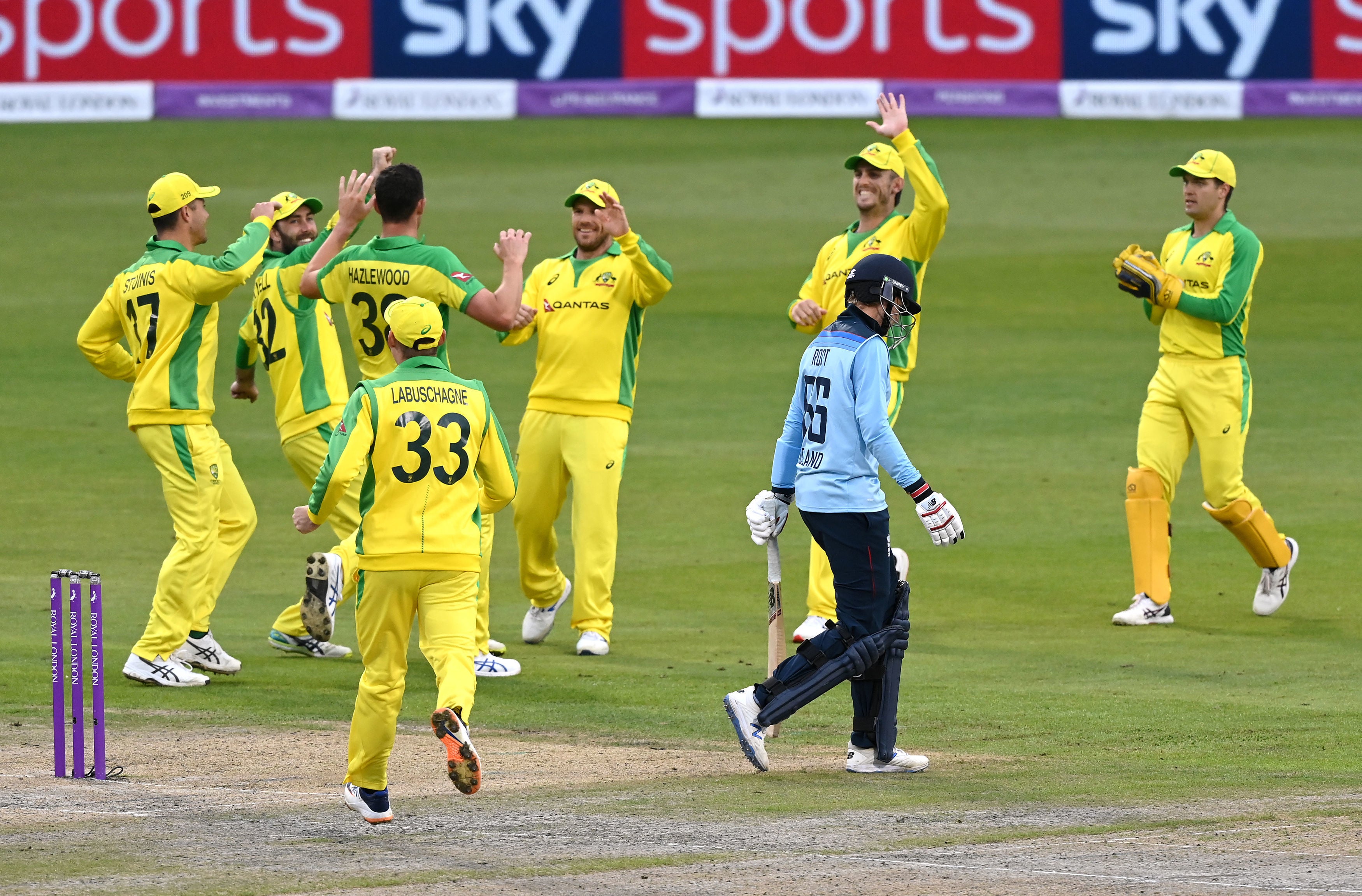 Josh Hazlewood celebrates taking the wicket of Joe Root