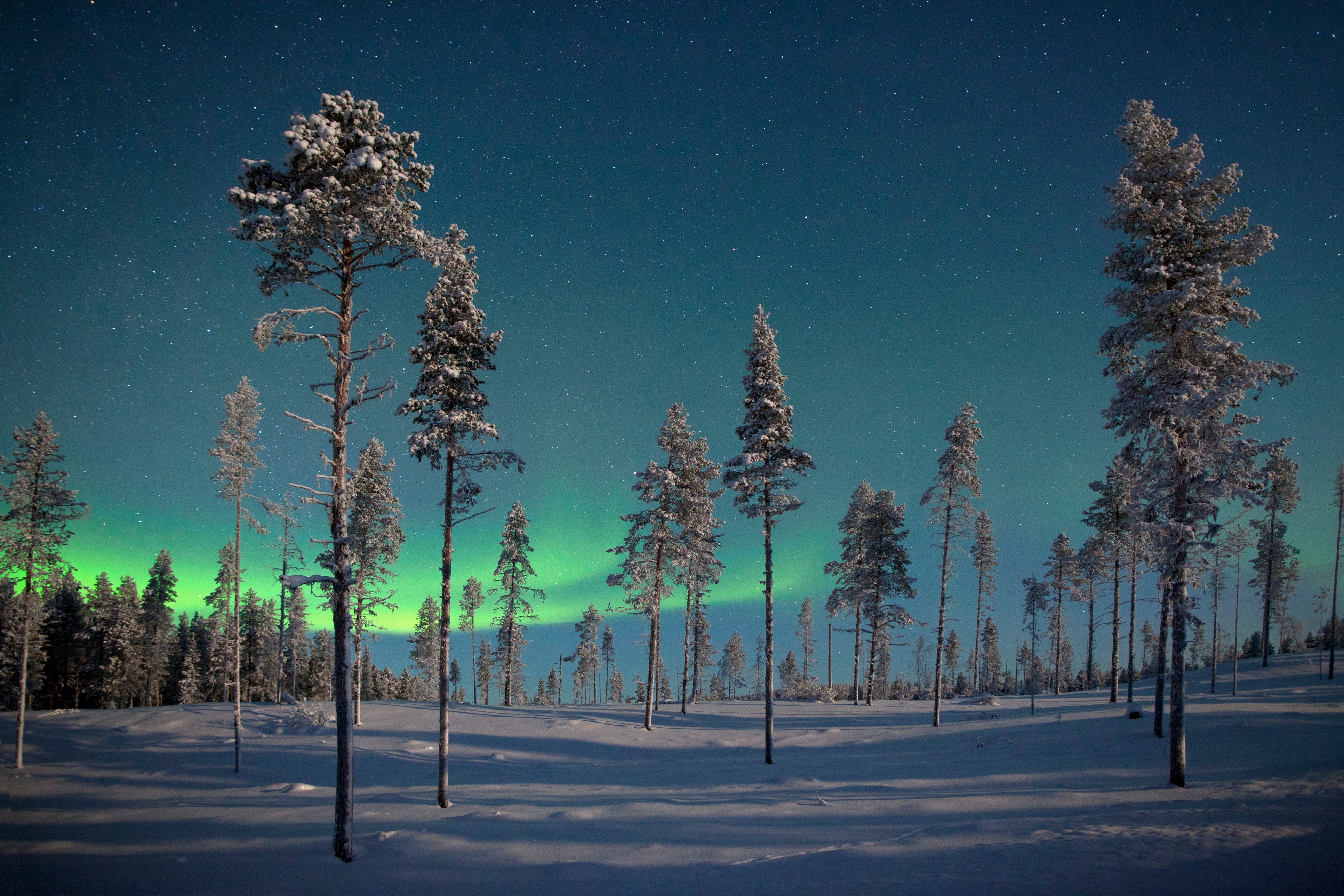 Chase the Northern Lights in Swedish Lapland by train for a treat