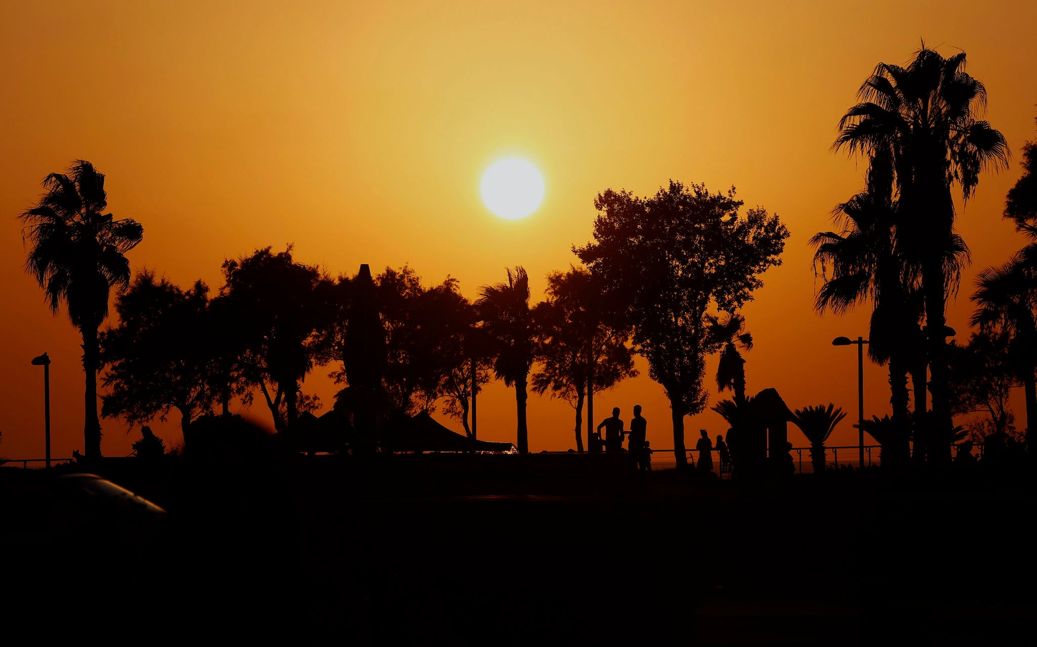 New ‘solar cycle’ has begun, Nasa says