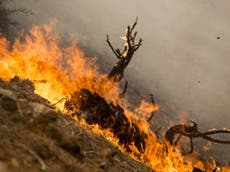 Smoke from US wildfires reaches Europe, satellite images show