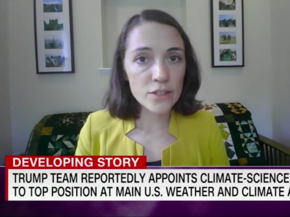 Environmental engineer shares realities of working from home amid pandemic