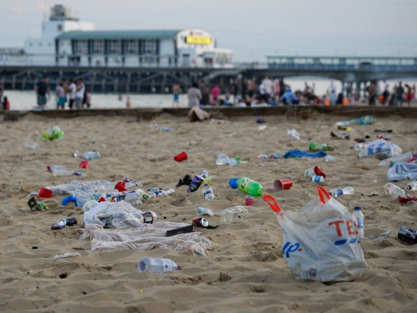 We celebrated lockdown with a festival of litter, all over the beaches and in every far-flung inland beauty spot