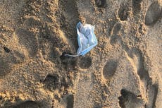 Coronavirus PPE pollution: Can we stop the mounting plastic pandemic?