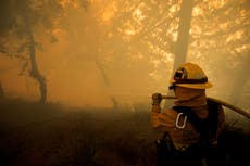 The government won’t allow a way to stop wildfires