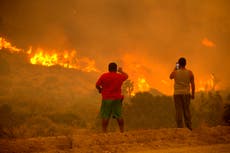 Homes destroyed after winds push California fire into desert