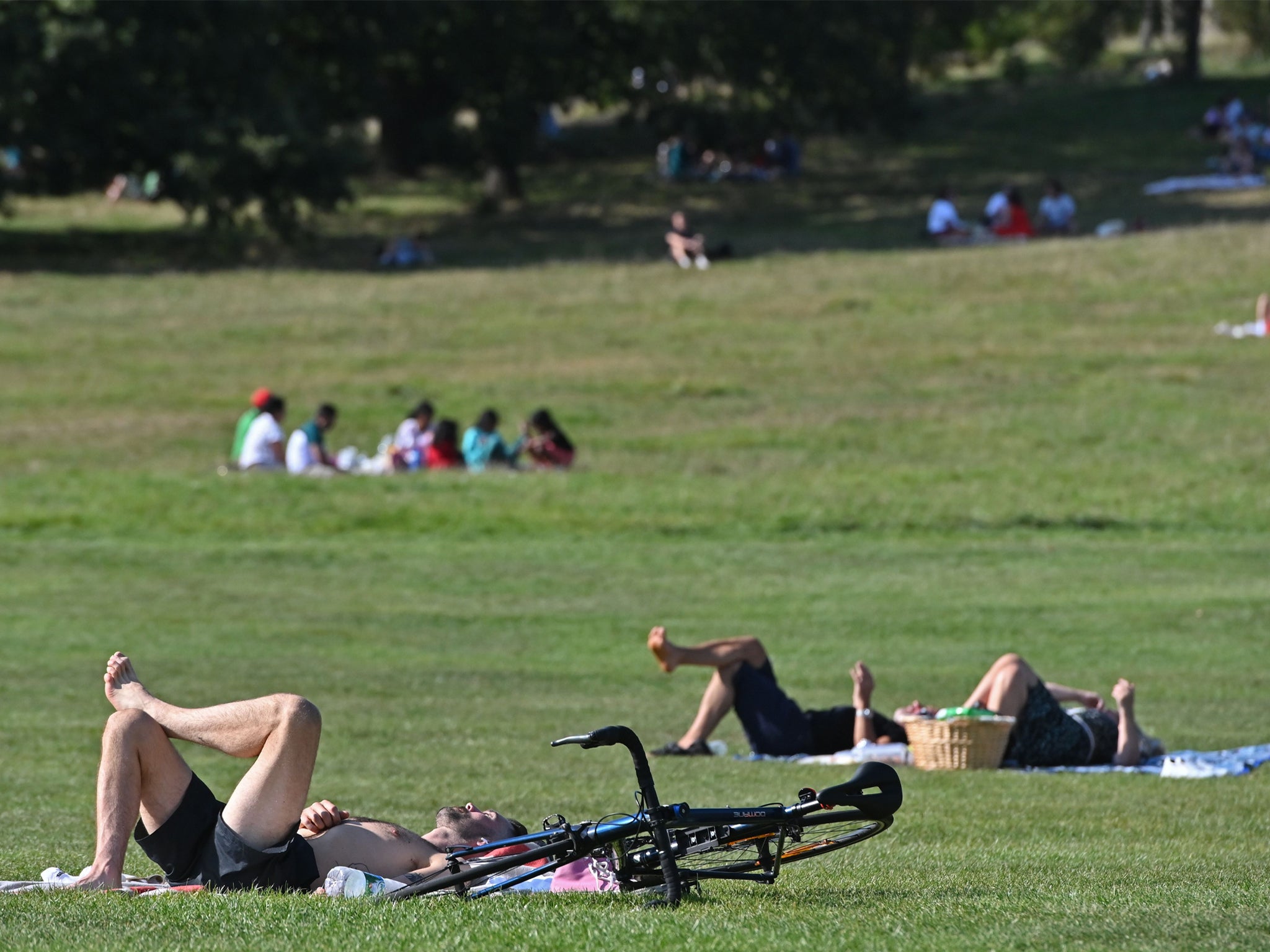 Temperatures this September have reached a four-year high