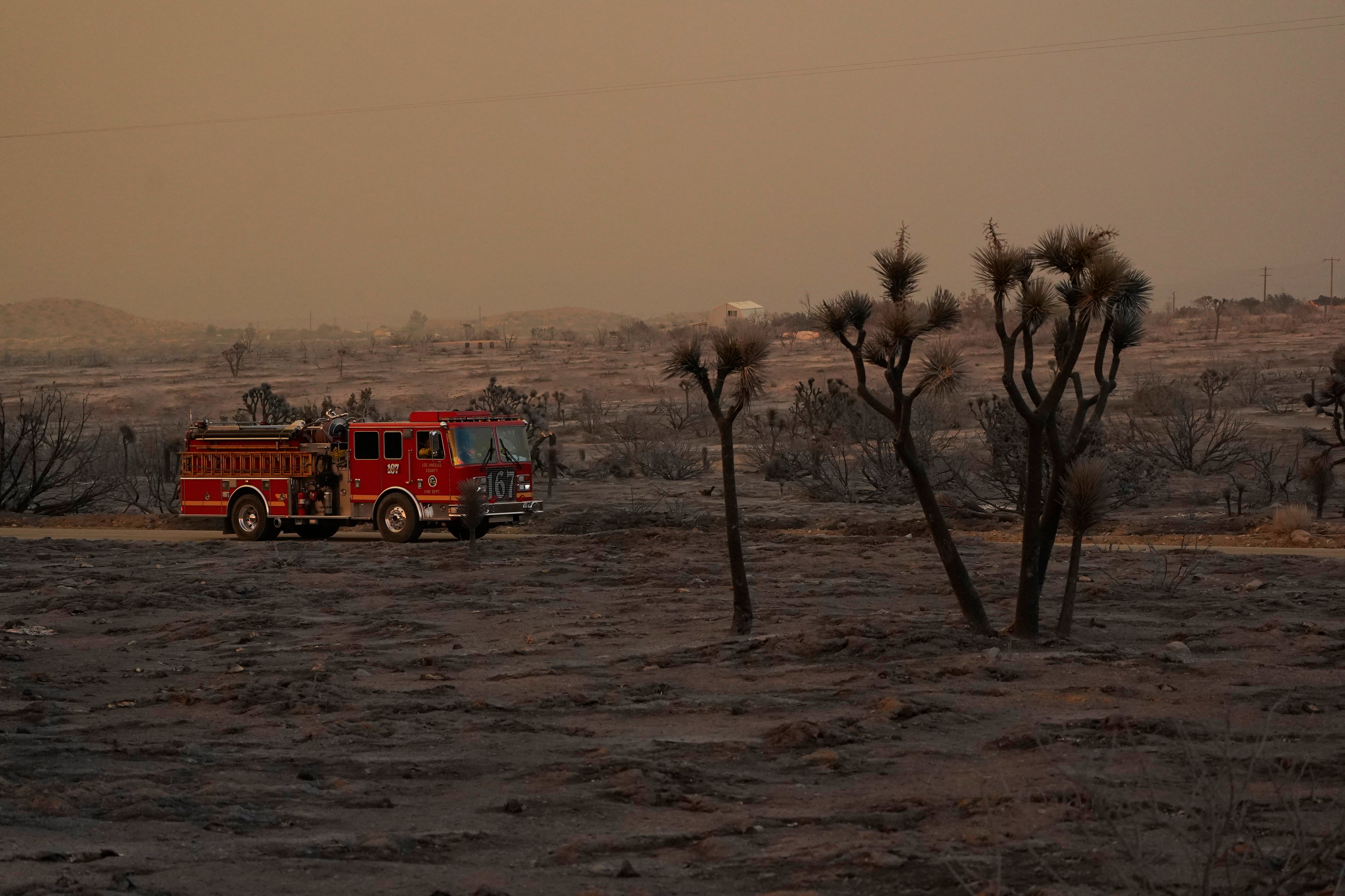 Western Wildfires