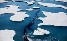 Warming shrinks Arctic Ocean ice to 2nd lowest on record