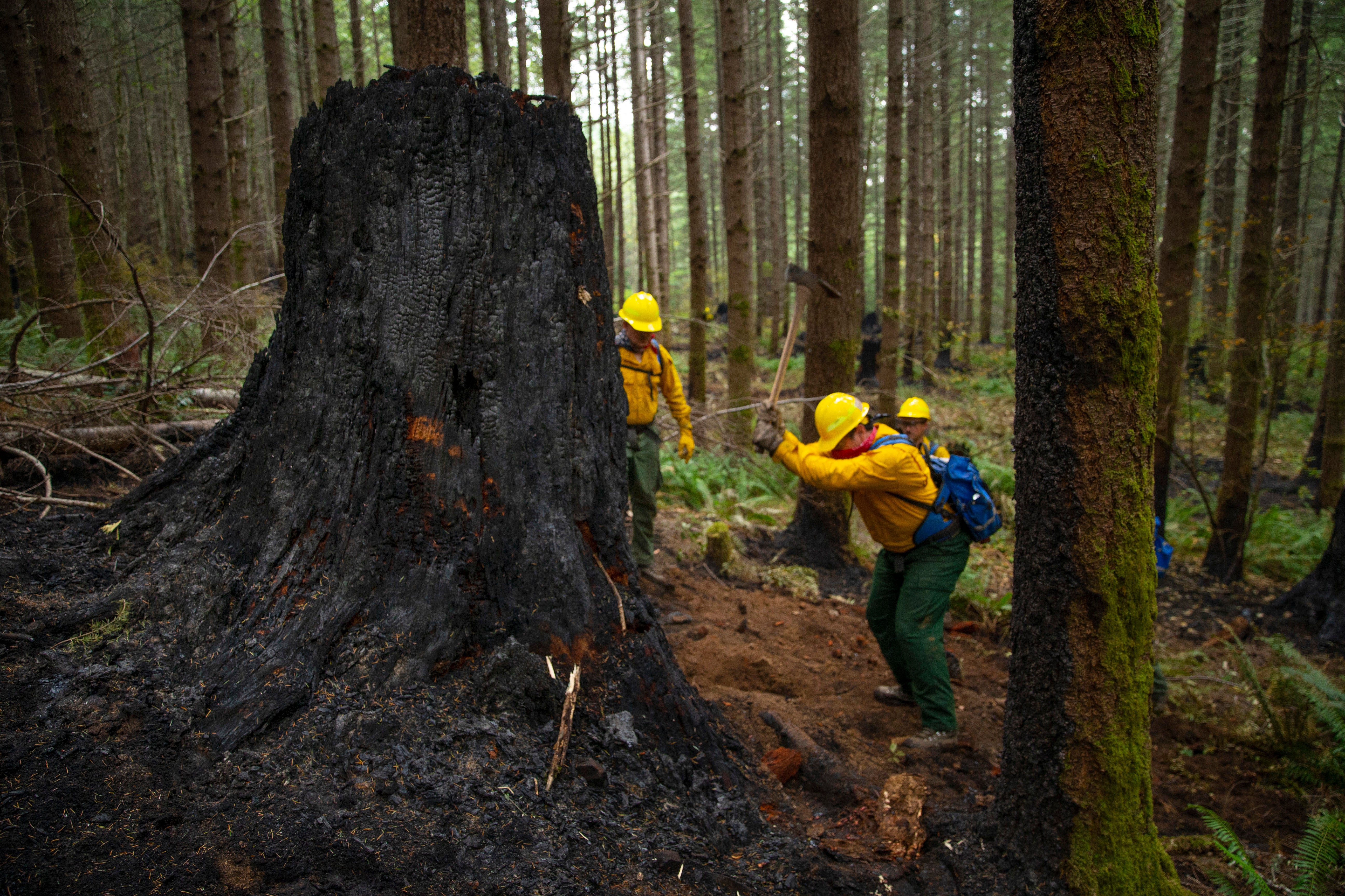 Western Wildfires