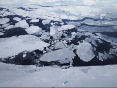 Arctic sea ice shrinks to near record low