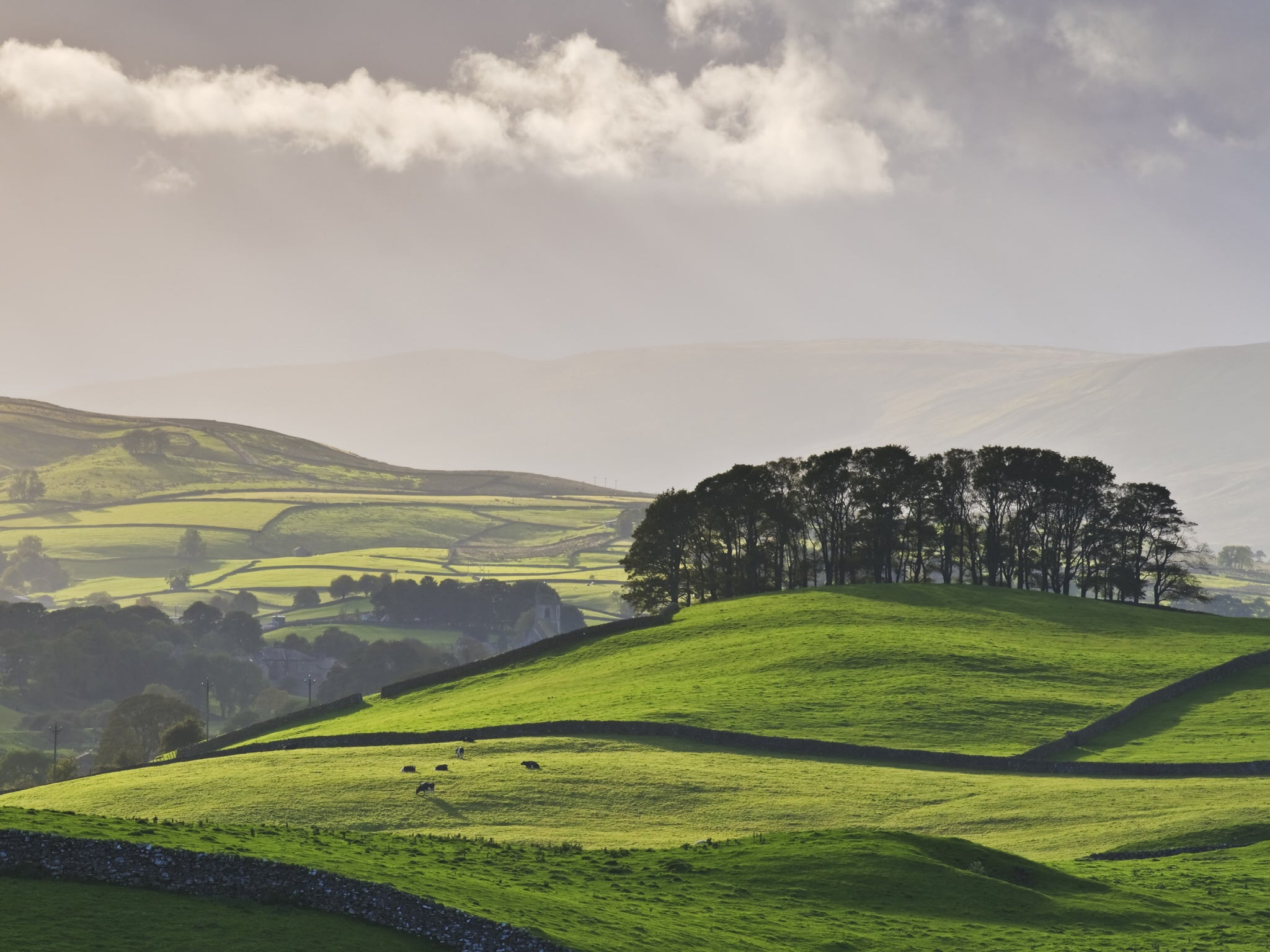 Mr Clark was out walking his dog in a north Yorkshire field when a herd of cows attacked