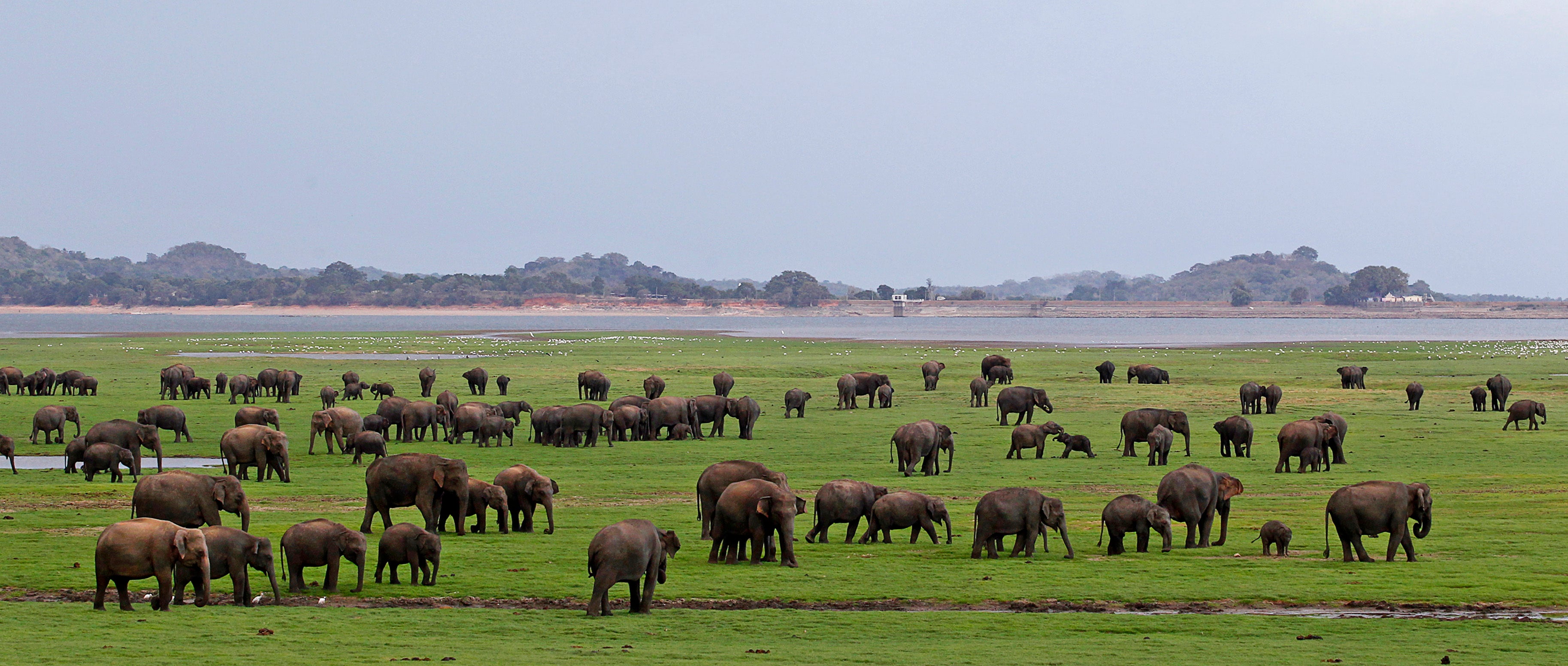 Sri Lanka Tourism