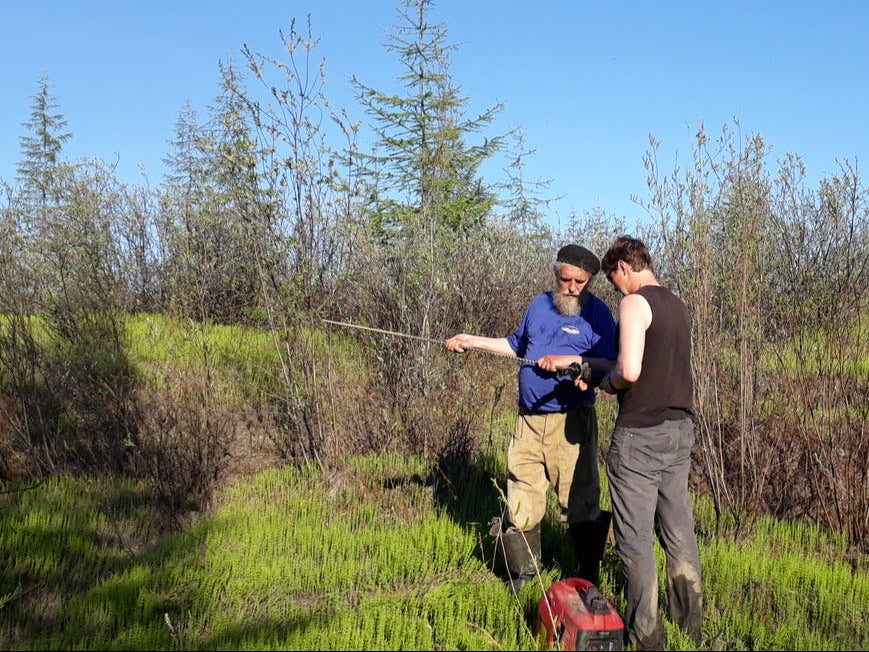 Sergey and Nikita Zimov are working to revive ancient tundra