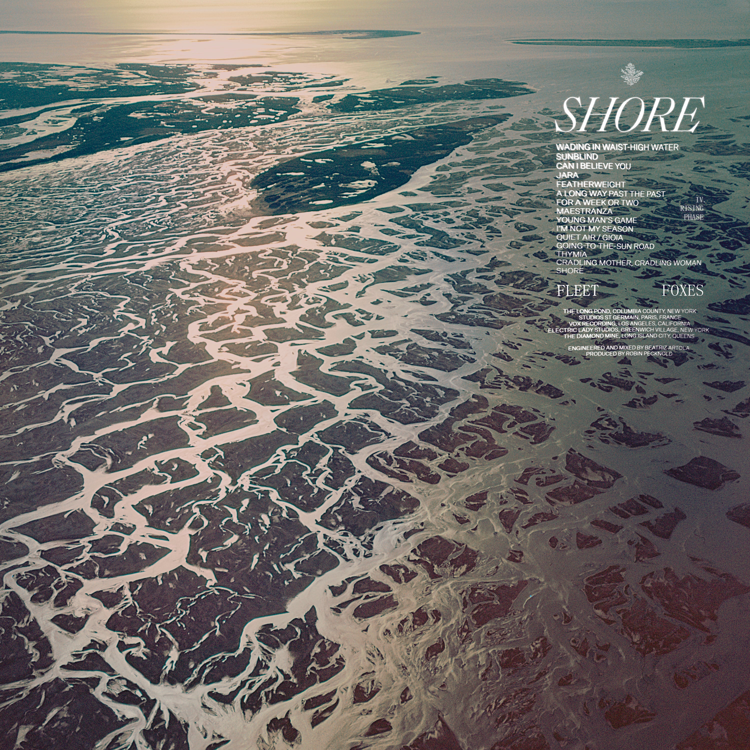 Fleet Foxes Music Review Shore