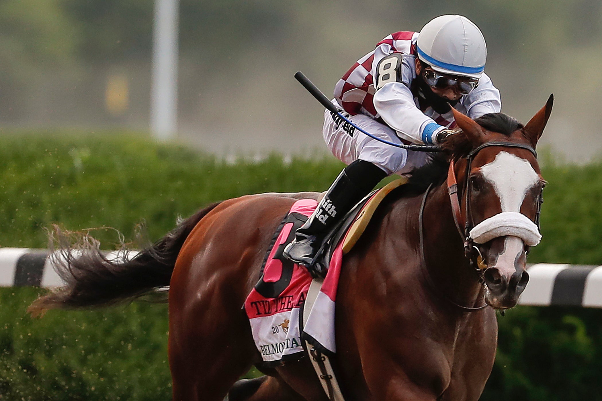 Preakness Tiz The Law Horse Racing