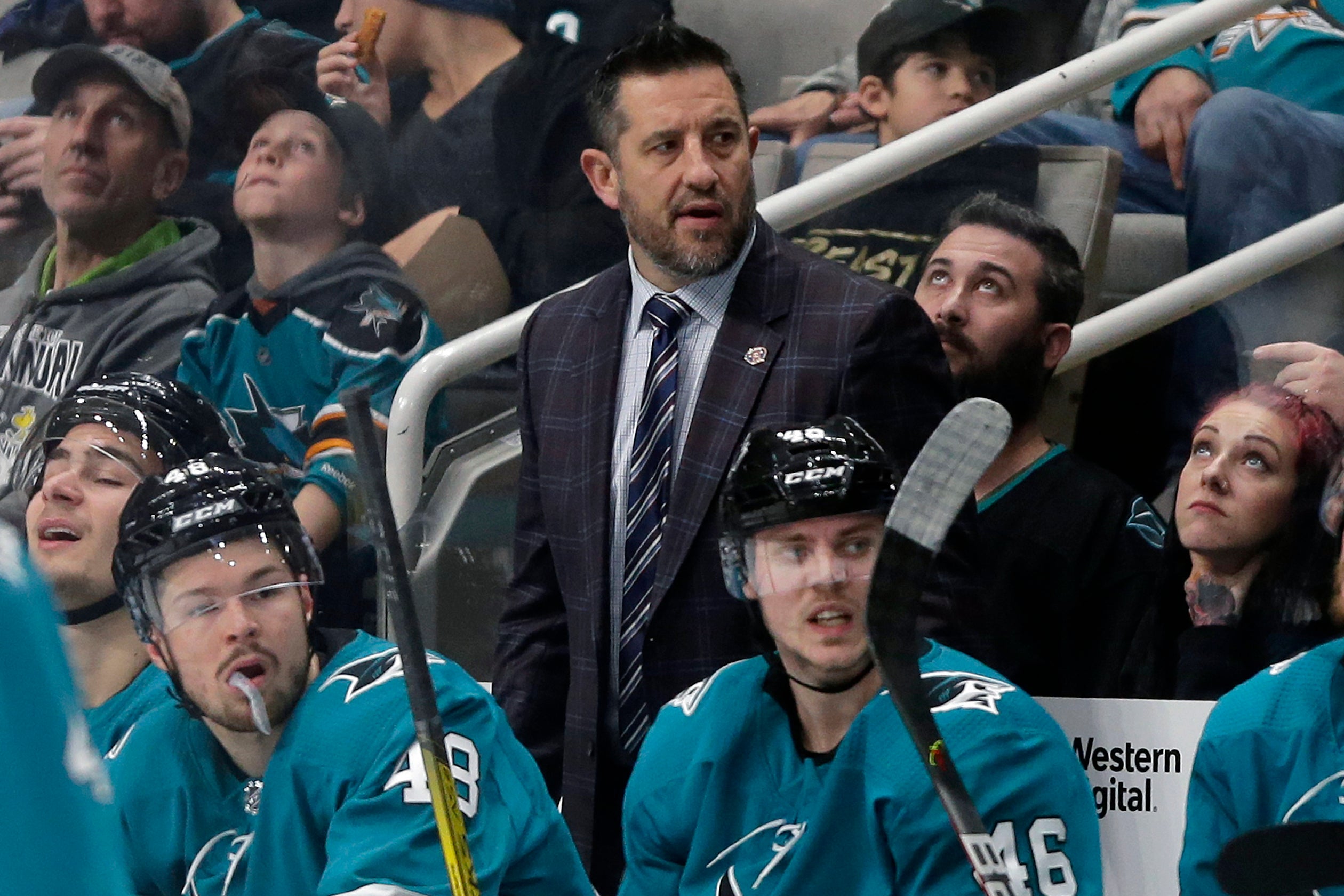 Sharks Boughner Hockey