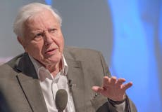 Sir David Attenborough joins Instagram