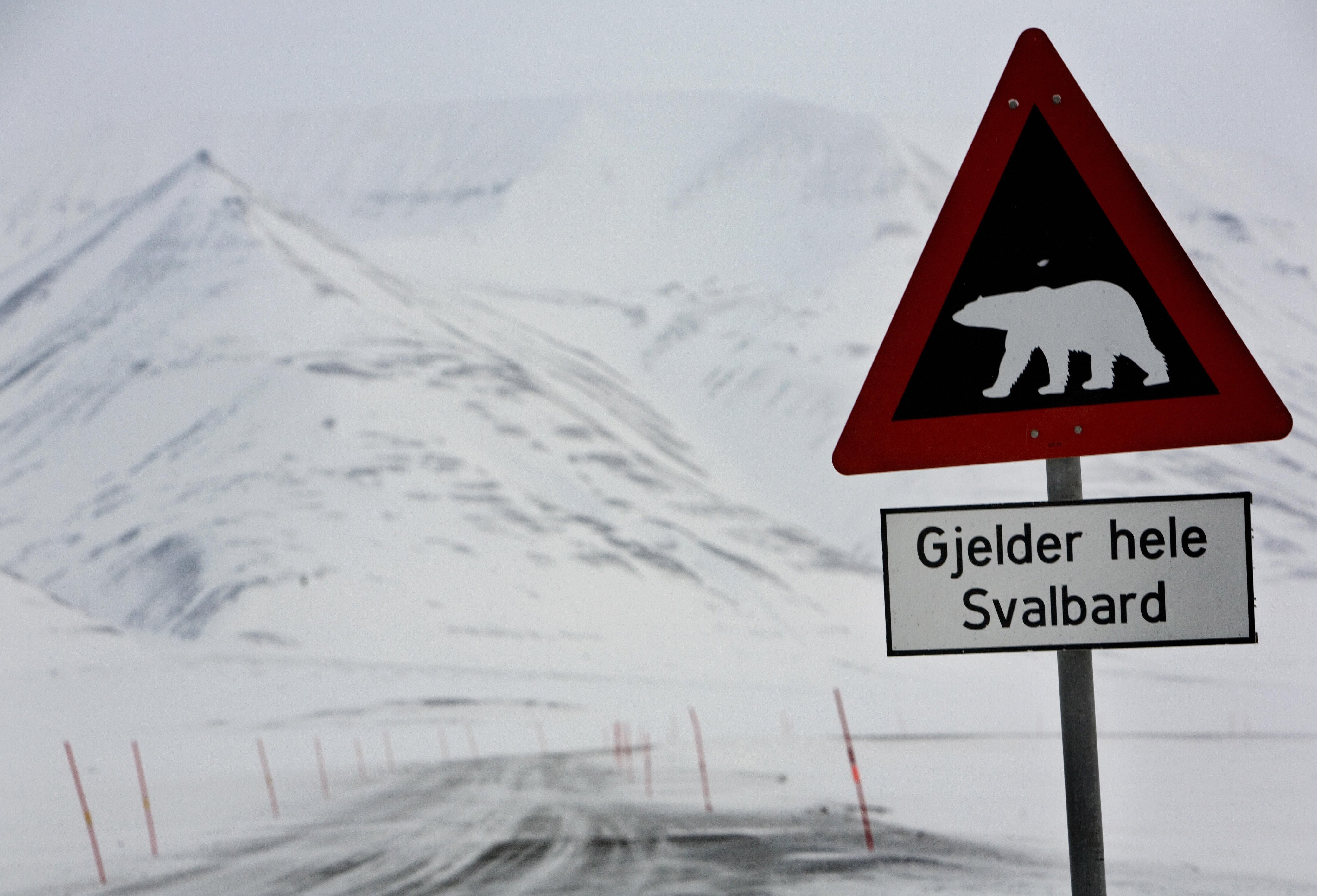 A road sign sporting a polar bear notifing motorists of their presence is seen outside the arctic town of Longyearbyen