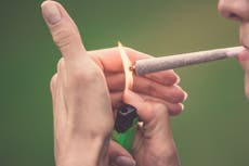 Smoking cannabis during pregnancy linked to psychotic-like behaviours in children