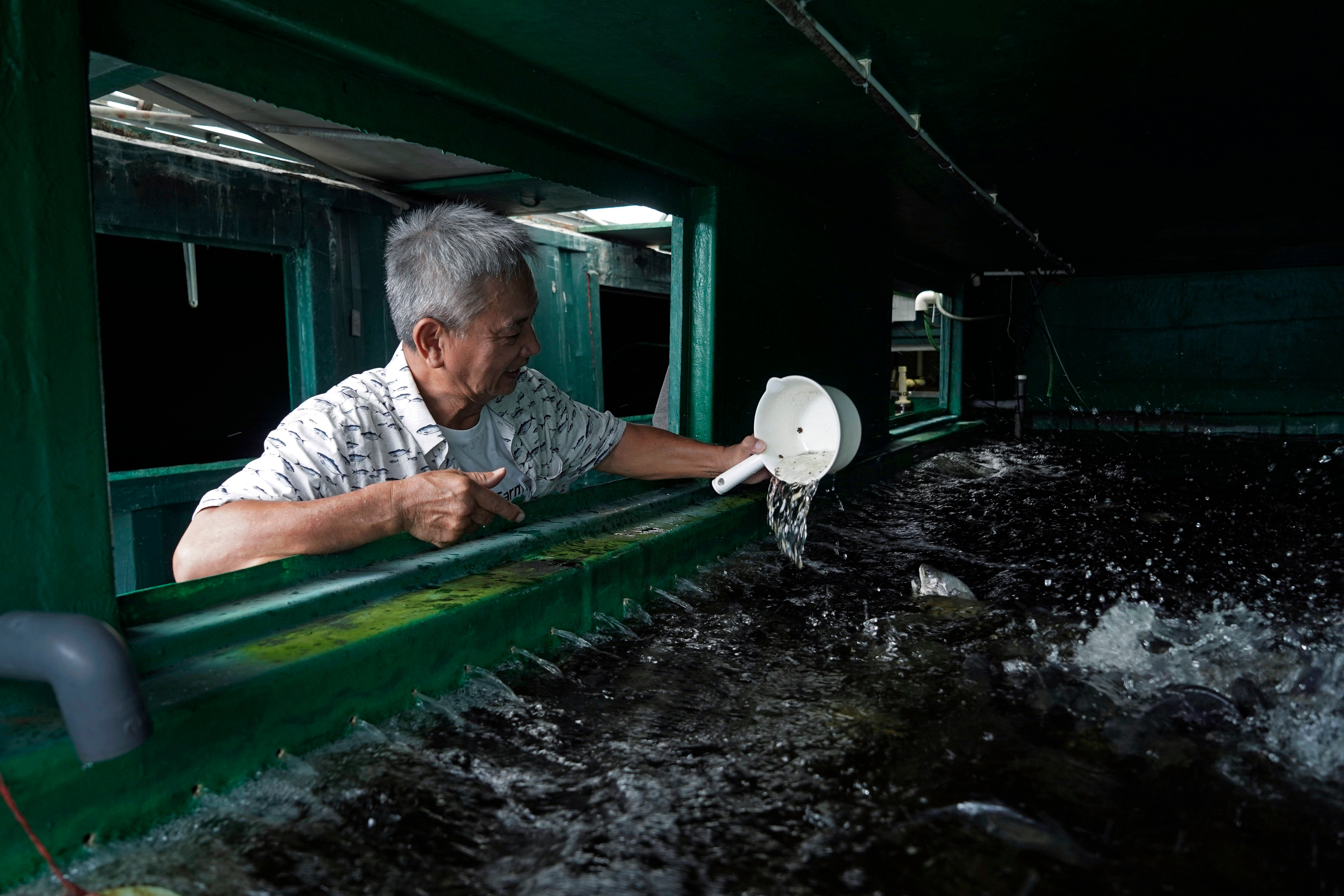 Hong Kong Shipping Container Farm Photo Gallery