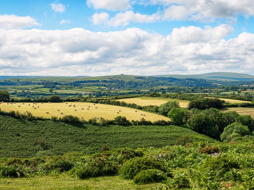 Boris Johnson to pledge to protect 30% of the UK's land by 2030 in bid to tackle the climate crisis