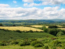 Boris Johnson pledges to protect 30% of UK land as world leaders sign commitment to act on climate crisis