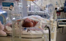 NHS maternity units continuing to ‘conceal’ and ‘disguise’ failings, MPs told