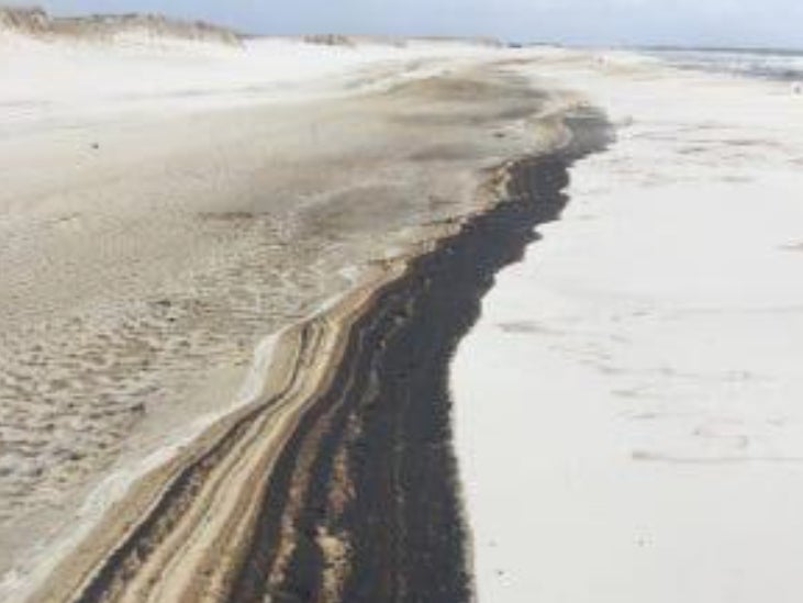 Five-mile stretch of oil slime washes up on Florida beach after Hurricane Sally
