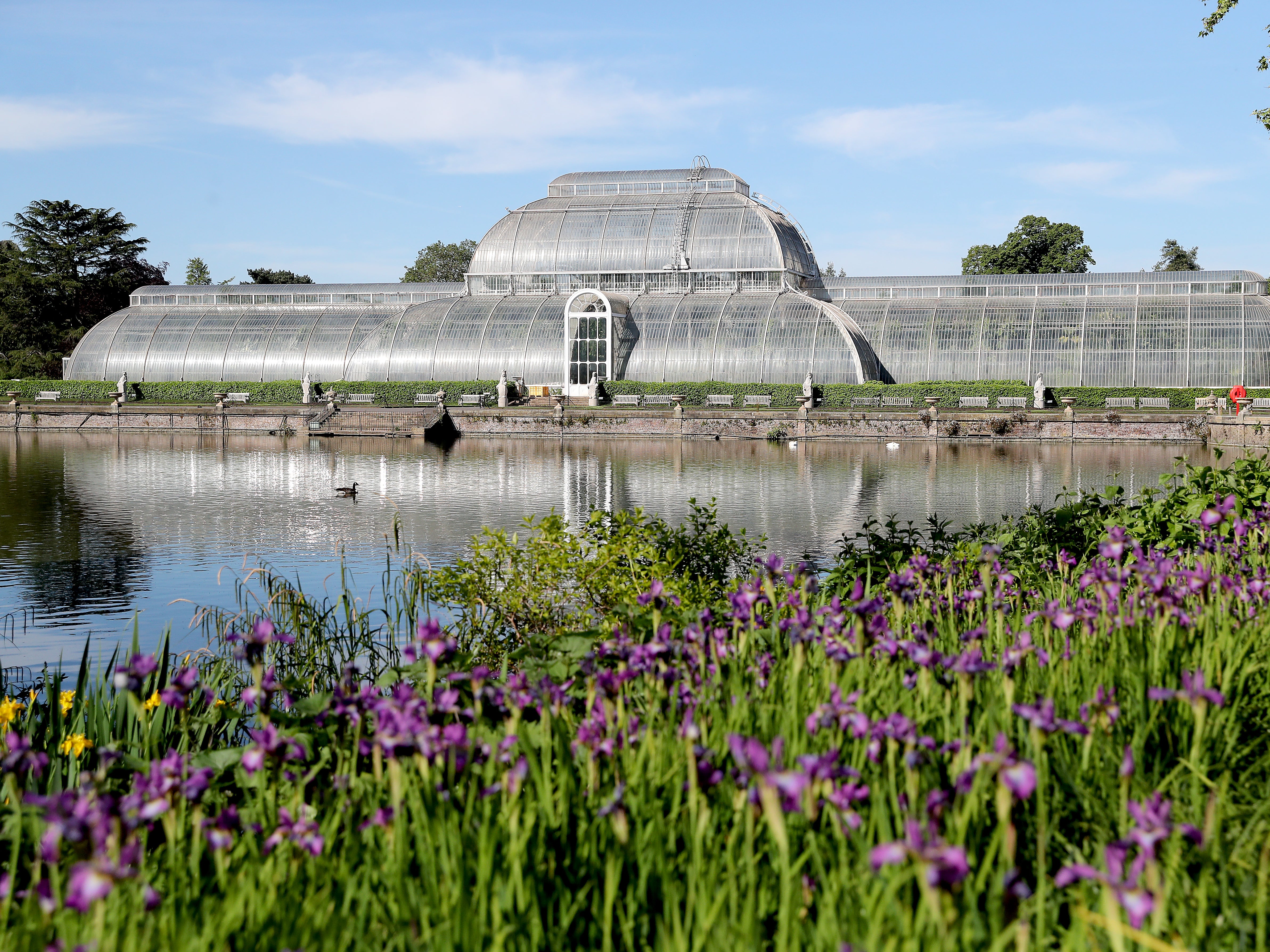 A report by the Royal Botanic Gardens, Kew, examines how people are using plants and fungi and what is at risk of being lost