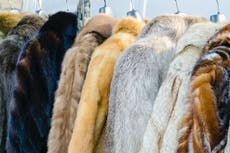 Nordstrom will no longer sell fur and exotic animal skins