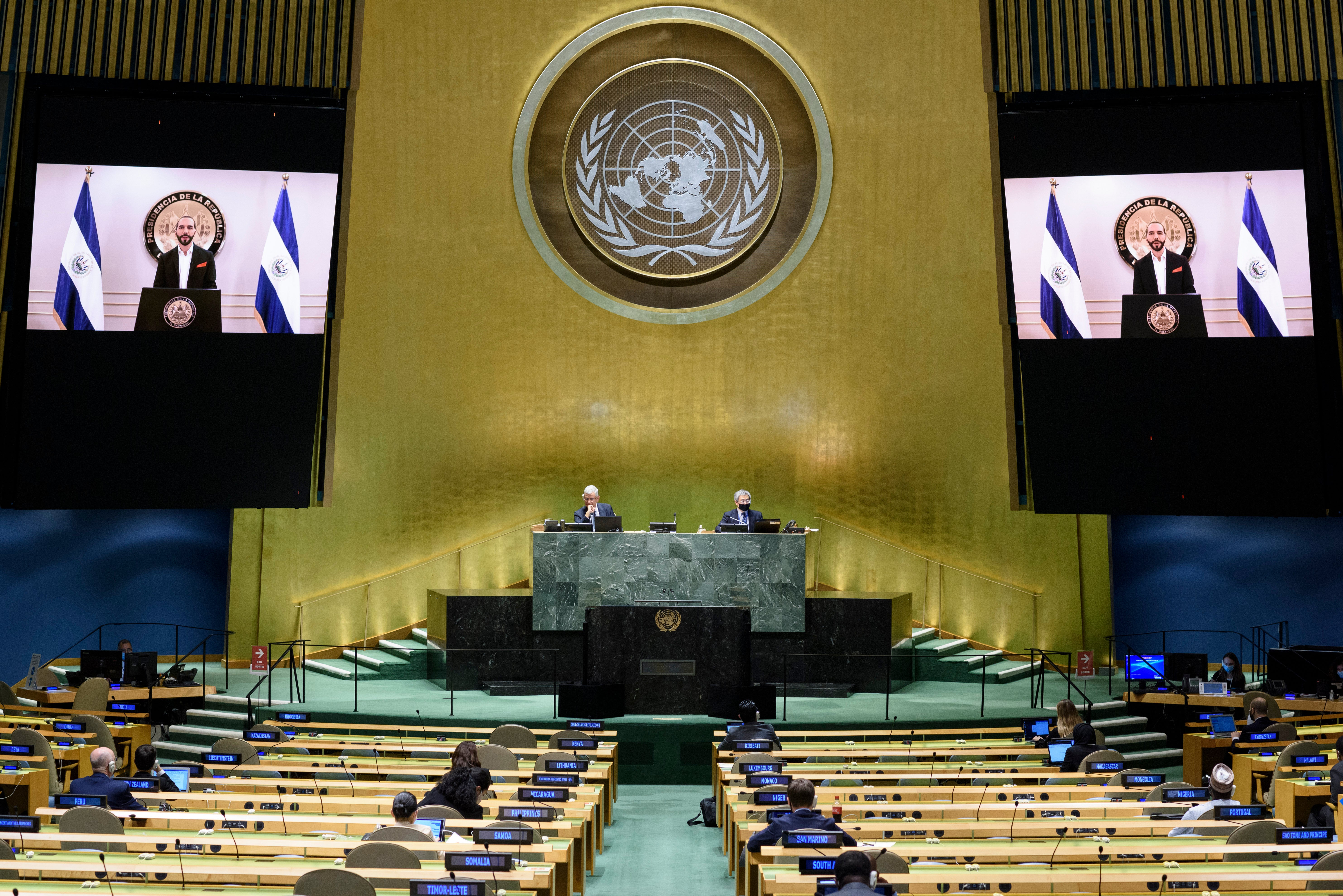 UN General Assembly