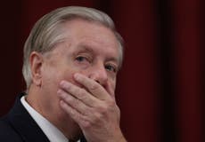 'Help us': Trump ally and GOP senator Lindsey Graham again begs for cash live on Fox News