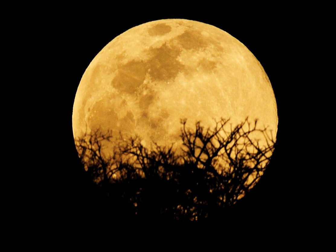 The Harvest Moon on 1 October will be one of two full moons in October 2020