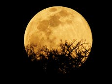 Harvest Full Moon 2020: How to watch rare event tonight as it lines up with ‘full Mars'