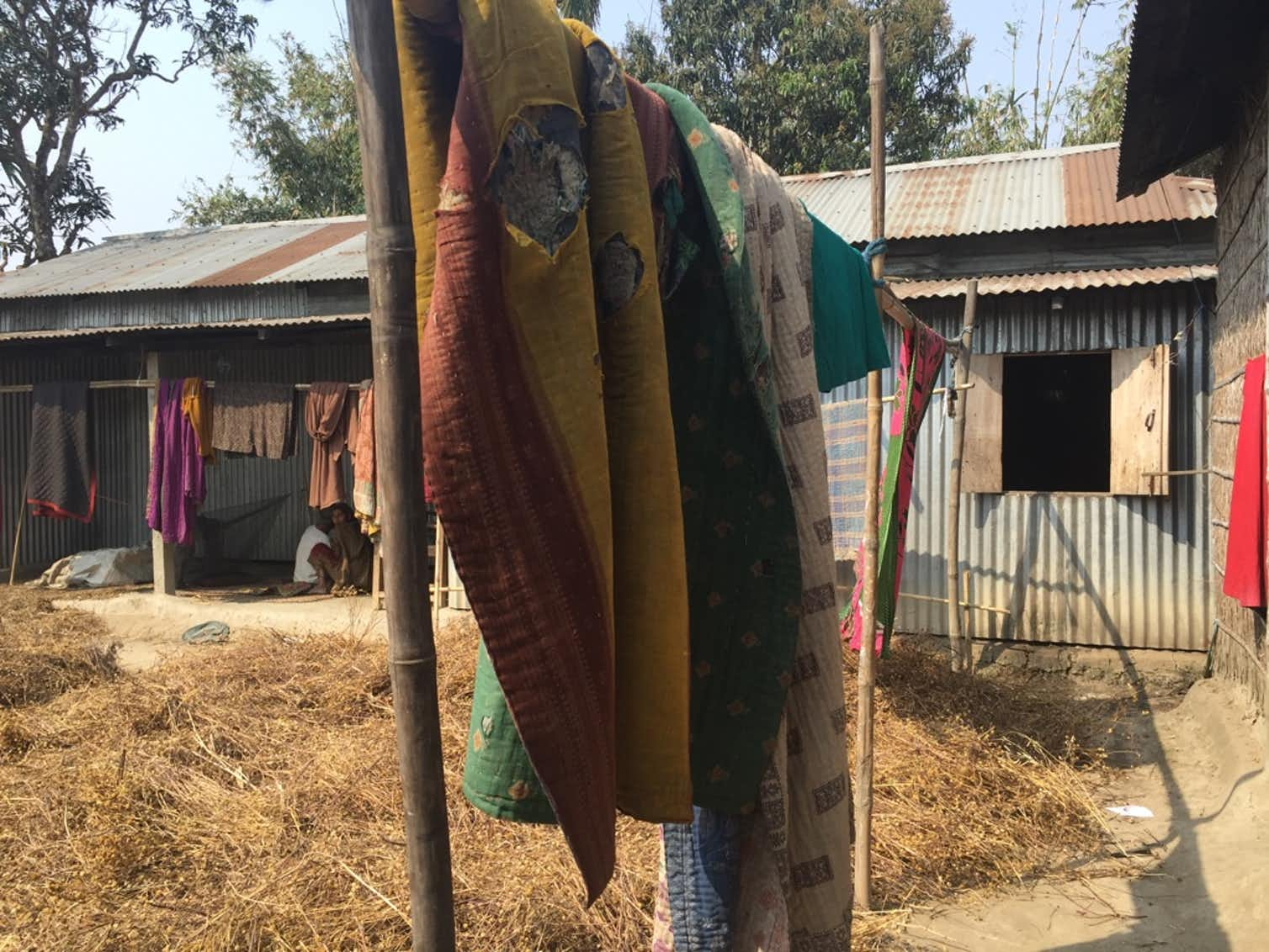 Sesame plants and handmade quilts dry in a small village on the outskirts of Barpeta, Assam