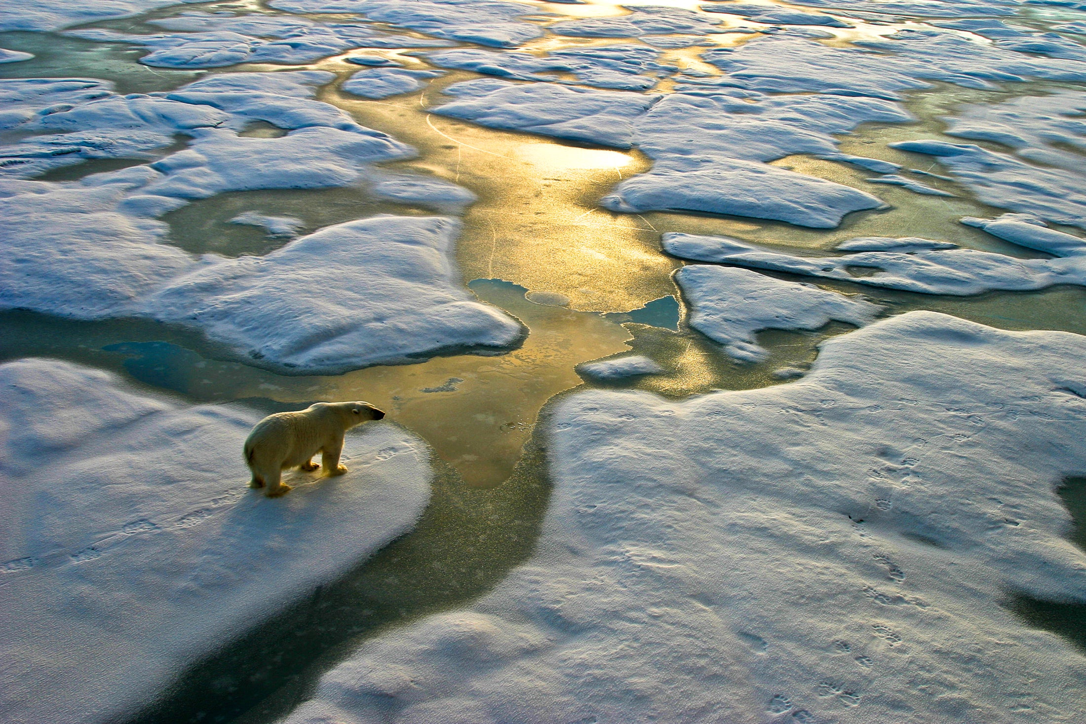 'Warming asymmetry has potentially significant implications for the natural world,' researcher warns