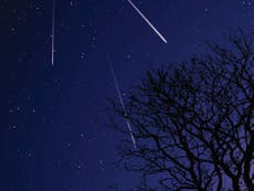 Orionid meteor shower to bring ‘prolonged explosions of light'