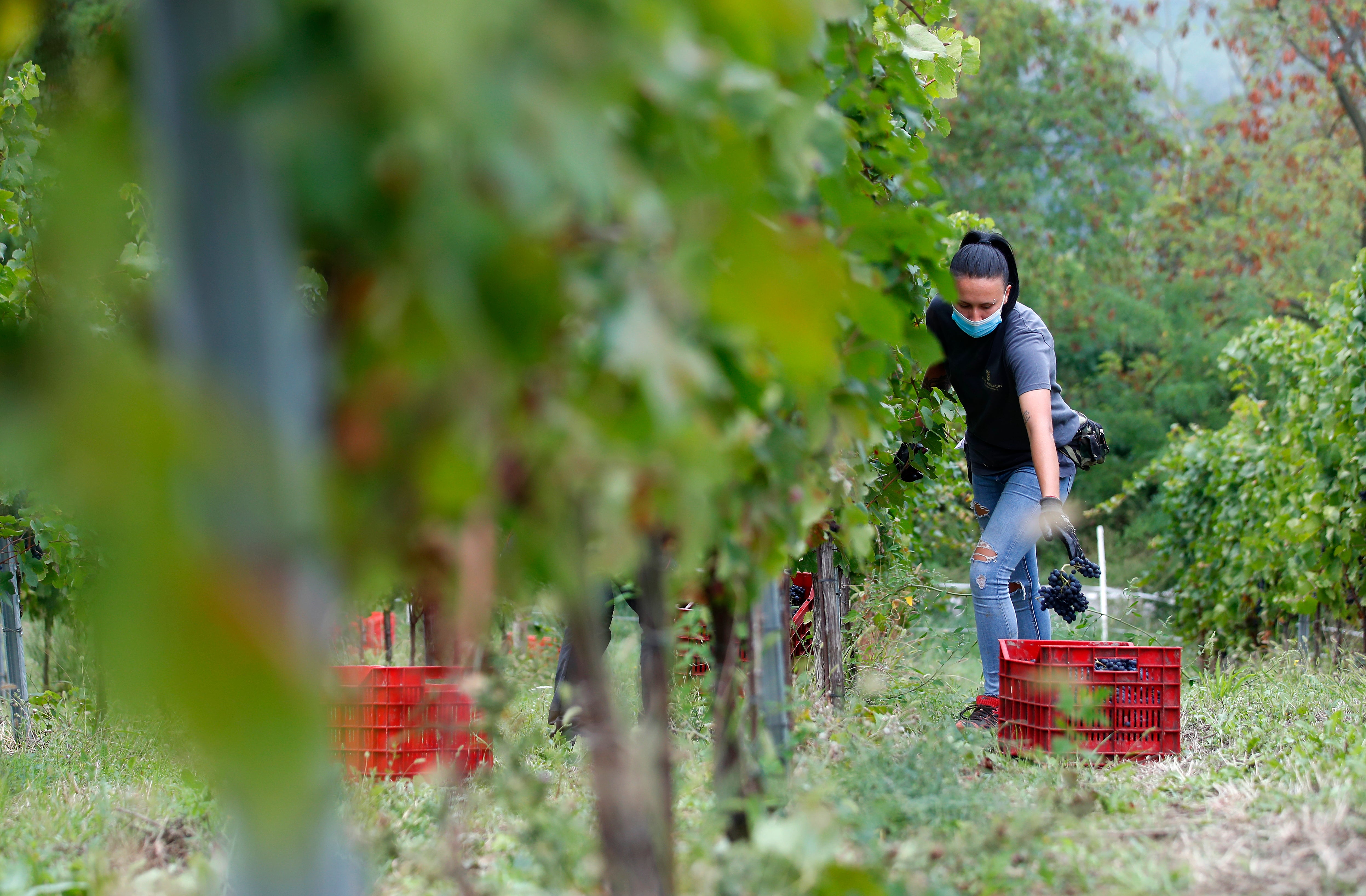 Virus Outbreak Europe Seasonal Workers