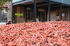 ‘Surreal’ art installation criticised for wasting food by dumping 29 tonnes of carrots