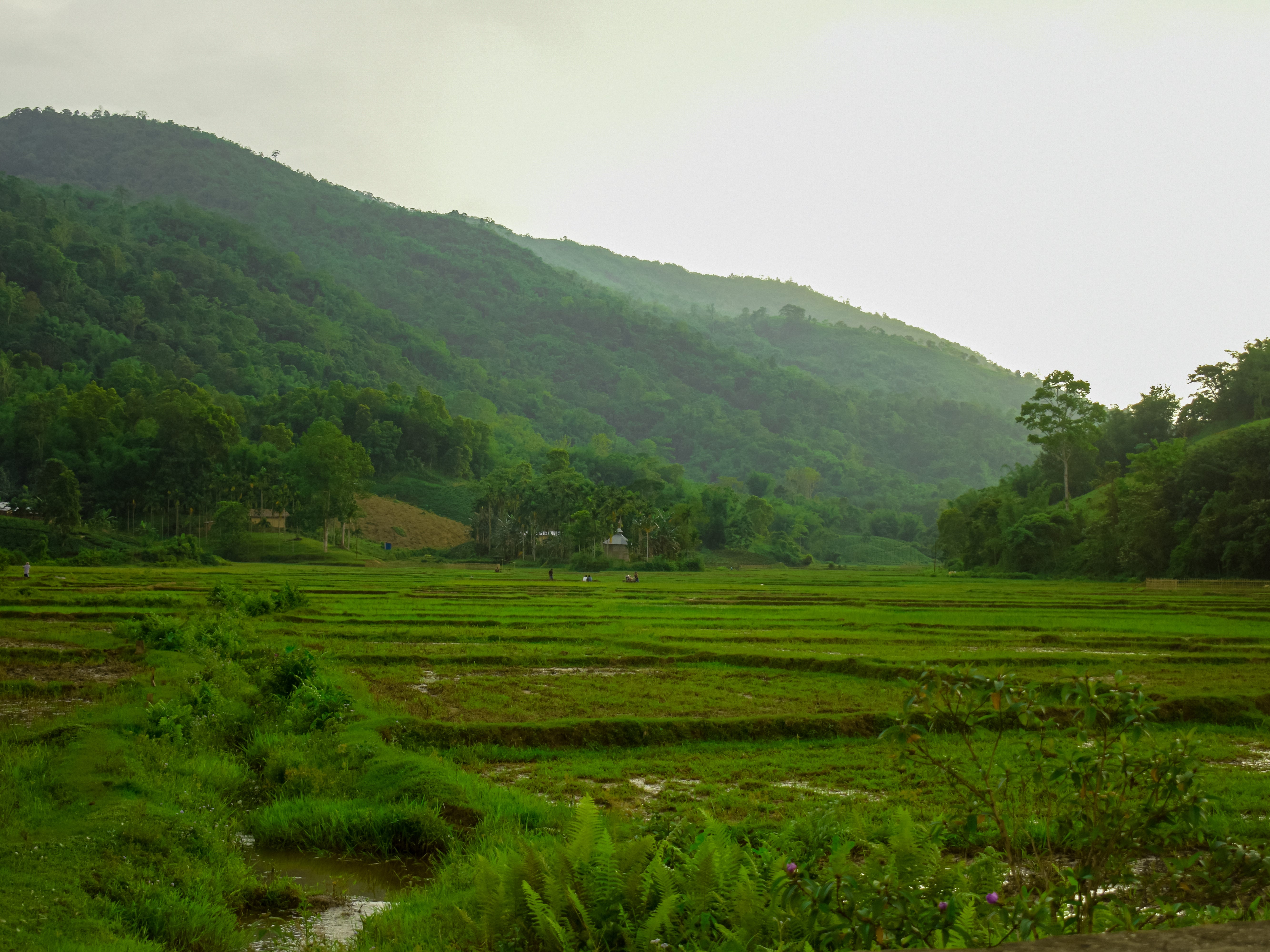 A general view of part of Karbi Anglong, in Assam state, India, where two people accused of witchcraft were killed.