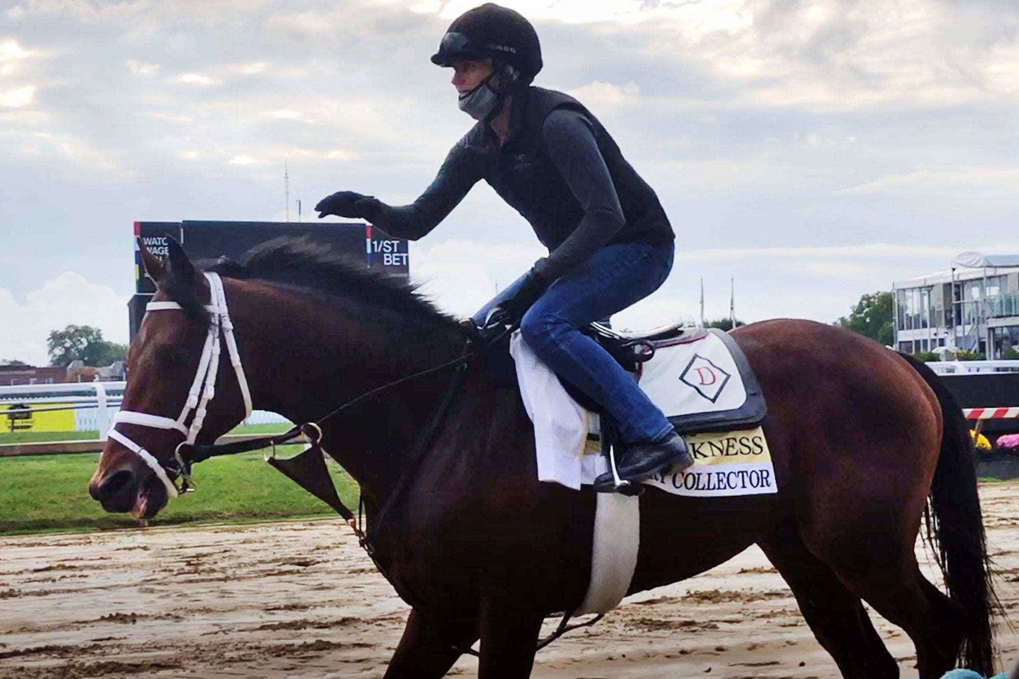 Preakness Preview Horse Race