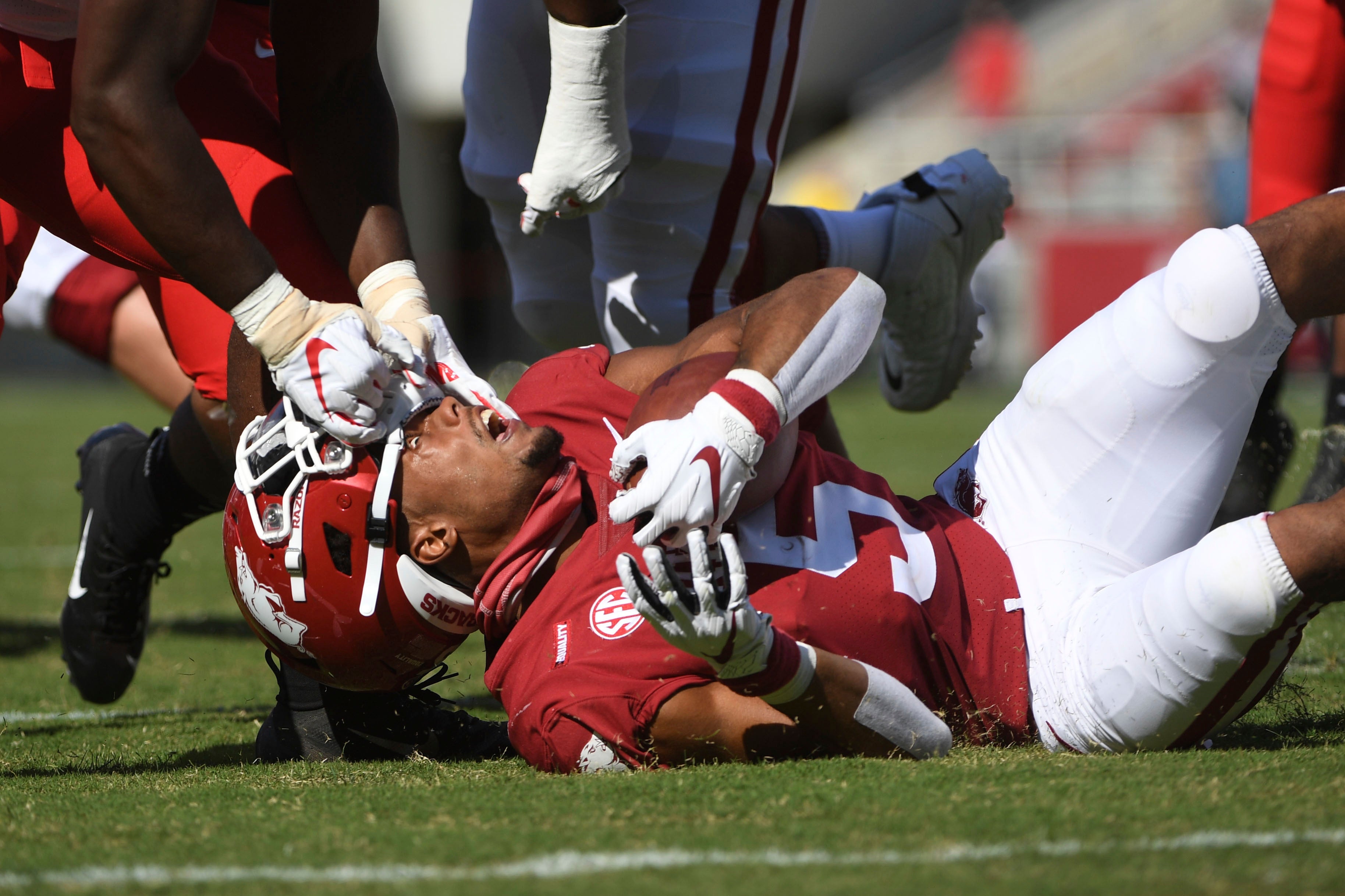 Pictures of the Week in North America Photo Gallery